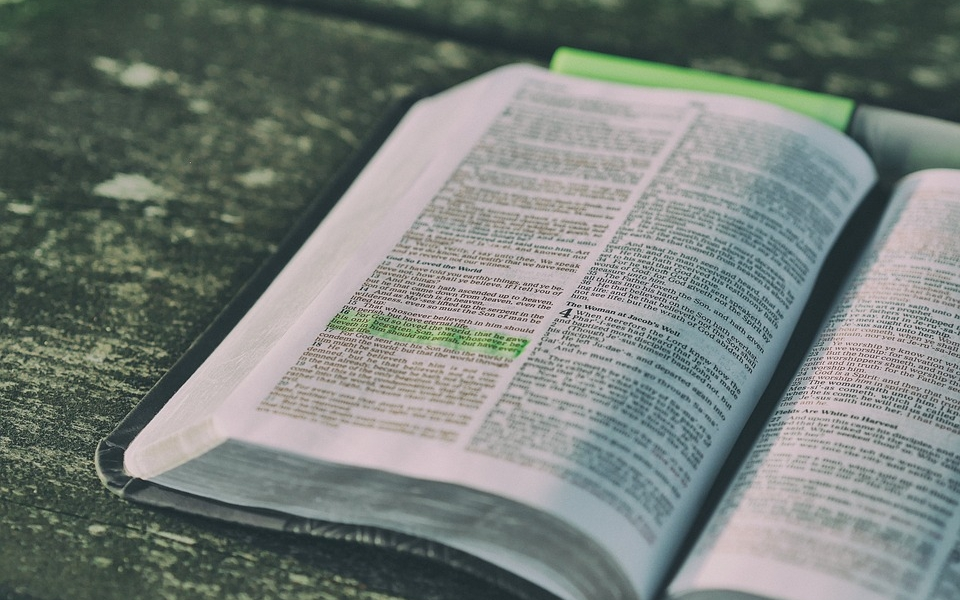 Ler a Bíblia: uma obra milenar com muitas versões